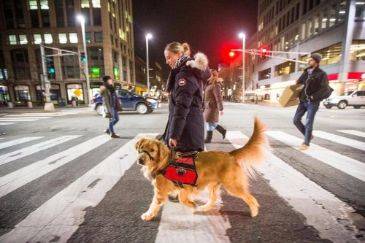 Pedestrian Accidents Involving Crosswalks Who Has the Right of Way